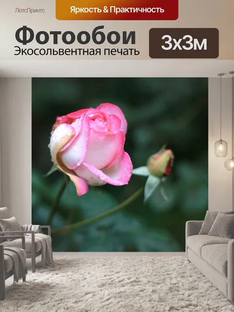 Фотообои Непередаваемый