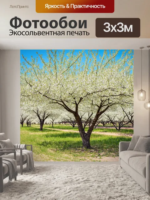 Фотообои пейзаж в стиле минимализм: миндальные деревья весной