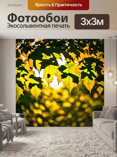 Фотообои градиент света пробивающегося сквозь листья