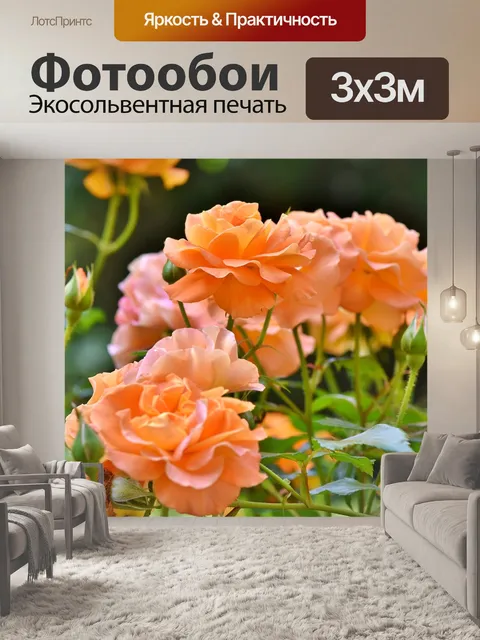Фотообои Розы