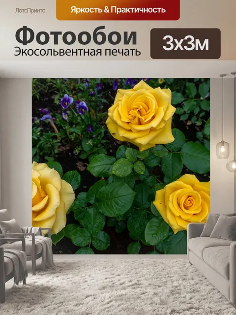 Фотообои Розы