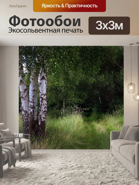 Фотообои Береза