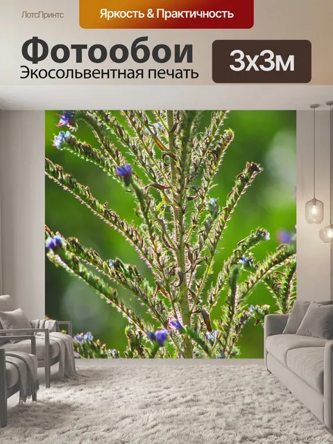 Фотообои Цветы