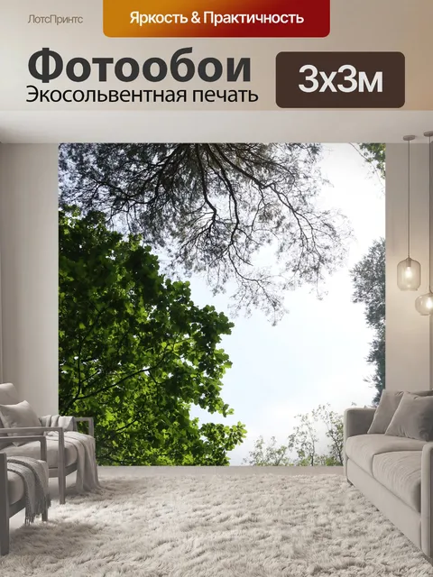 Фотообои Деревья