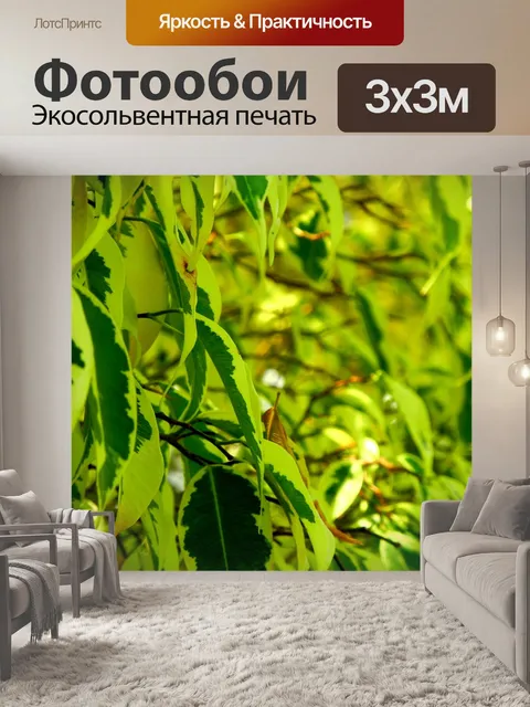 Фотообои Листья
