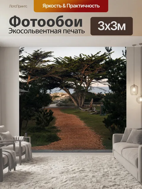 Фотообои Путь к океану