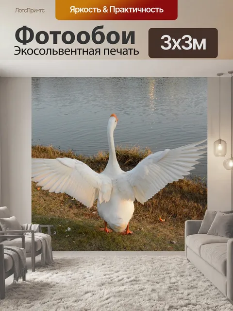 Фотообои Птица