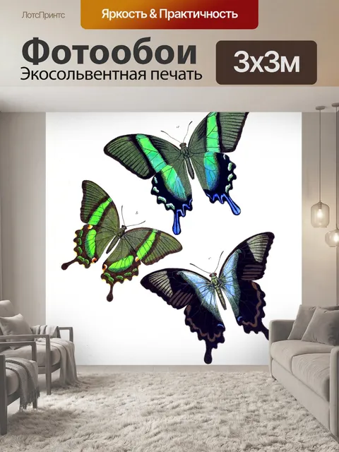 Фотообои Бабочки винтаж искусство старый