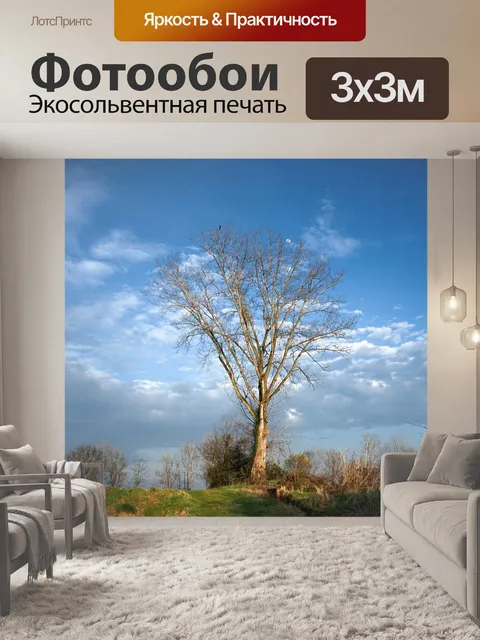 Фотообои Природа