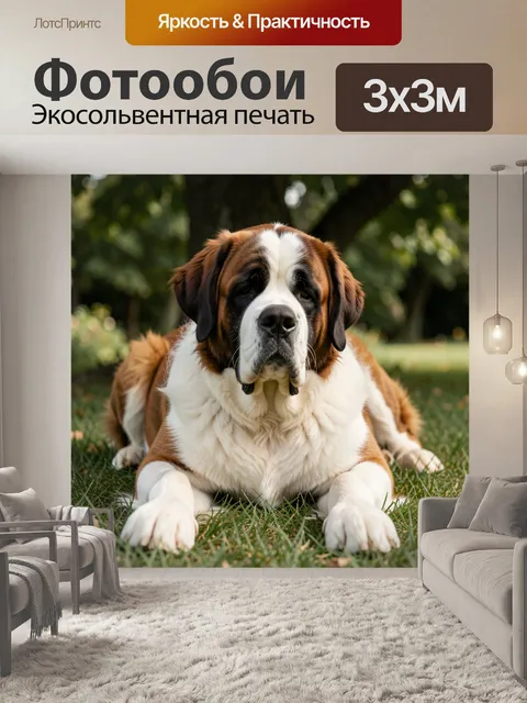 Фотообои Большой сенбернар на траве