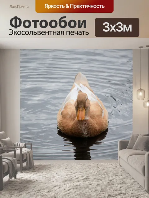 Фотообои Птицы