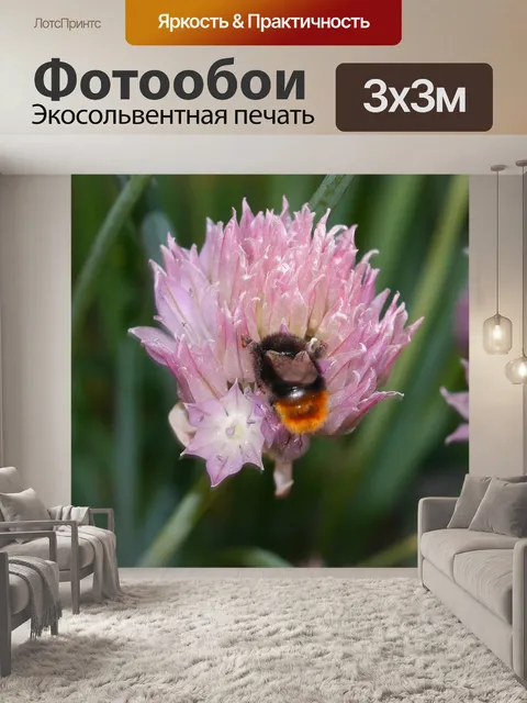 Фотообои Цветы