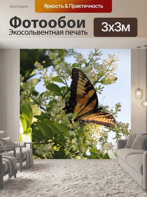 Фотообои Бабочка