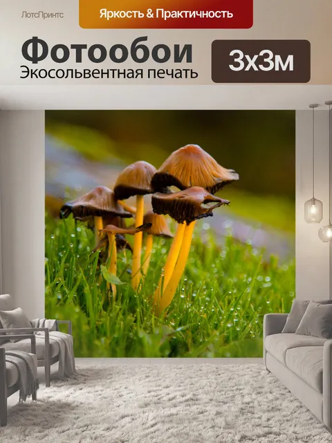 Фотообои грибы