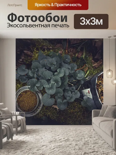 Фотообои Трава