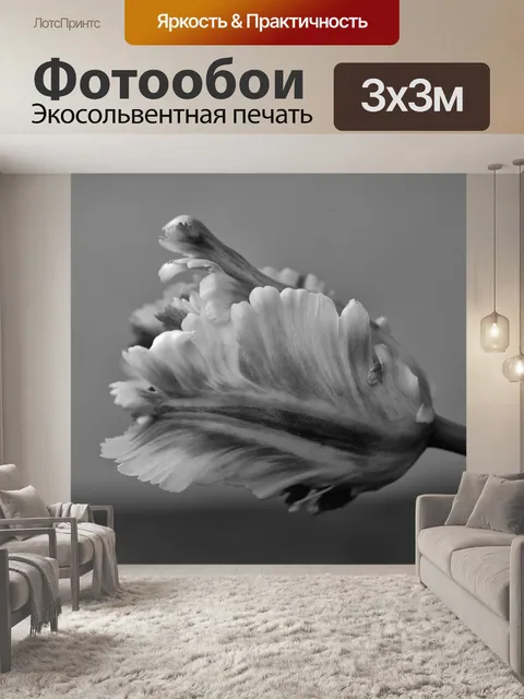 Фотообои Попугай тюльпан