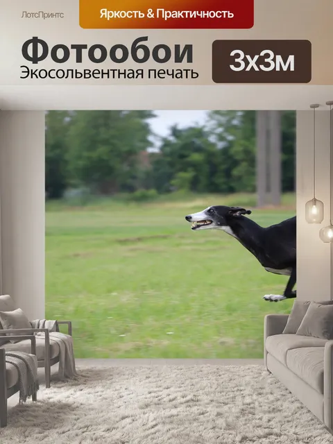 Фотообои Galgo