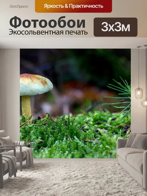 Фотообои Лес