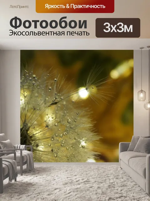 Фотообои Одуванчик