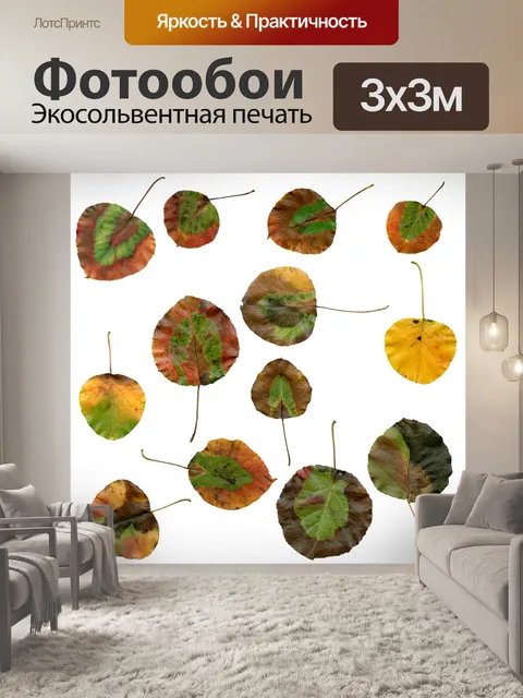 Фотообои Осень