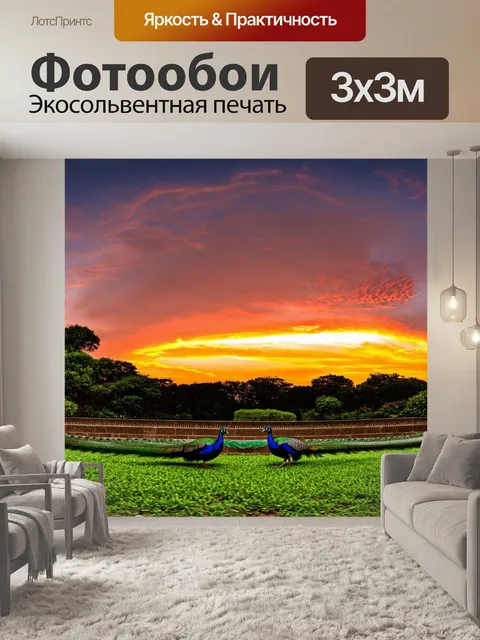 Фотообои панорамный вид зоопарка, где павлины активно взаимодействуют друг с другом на фоне насыщенного закатного неба