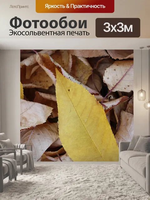 Фотообои Осень