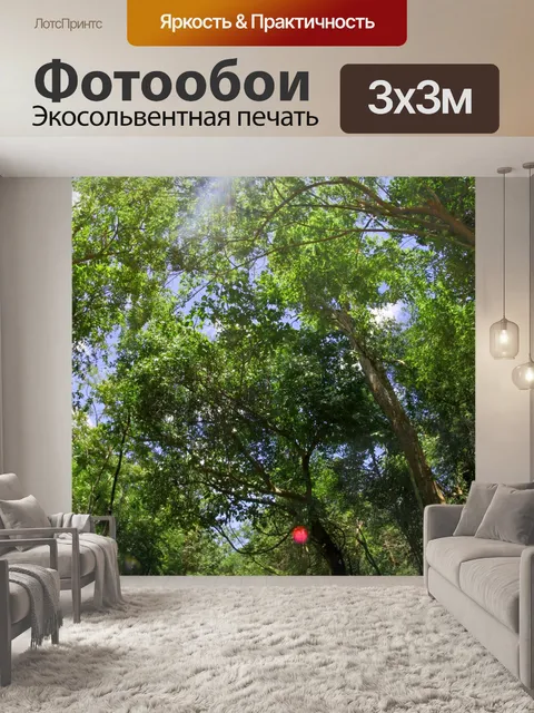 Фотообои Национальный парк Tadton Waterfall