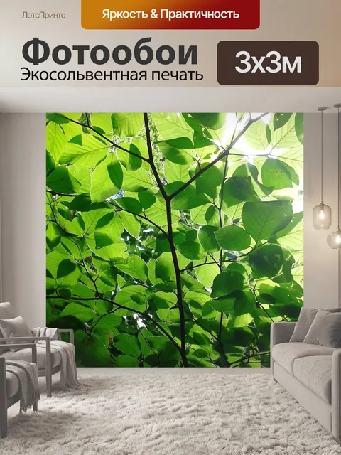 Фотообои Листья
