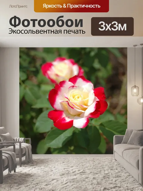 Фотообои Озеро жуналістку