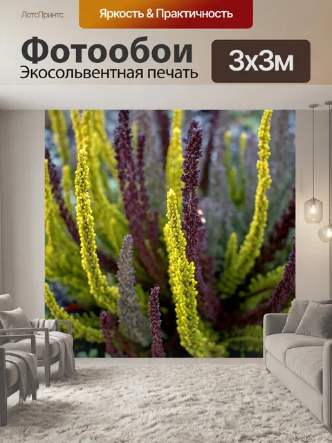 Фотообои Цветы