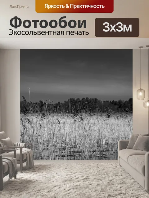 Фотообои Черно-белый