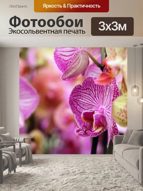 Фотообои Орхидея