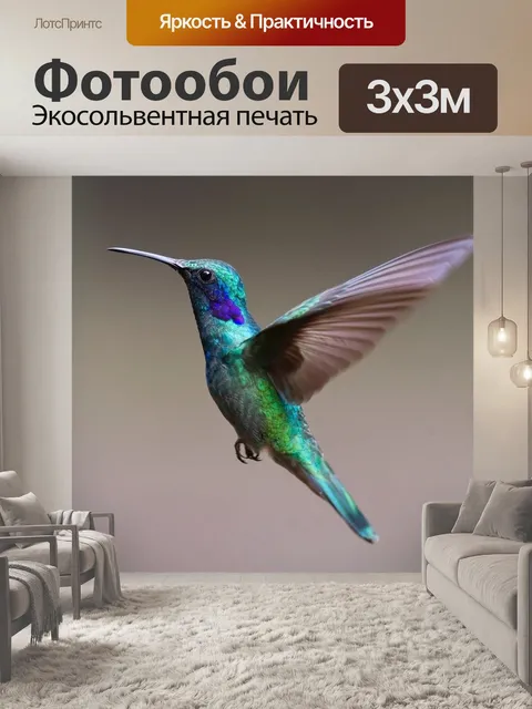 Фотообои Колибри