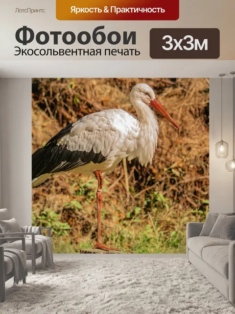 Фотообои Птица