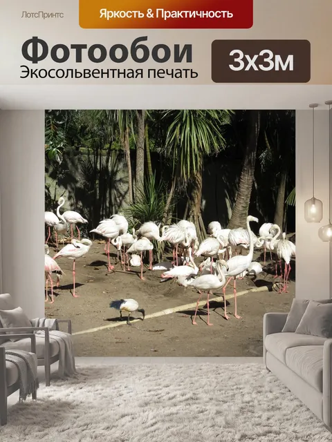 Фотообои Фламинго