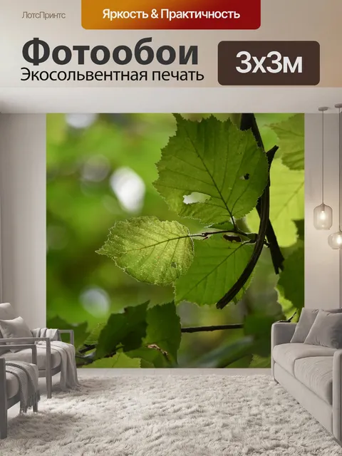 Фотообои Листья