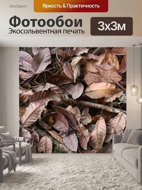 Фотообои Зеленый лес