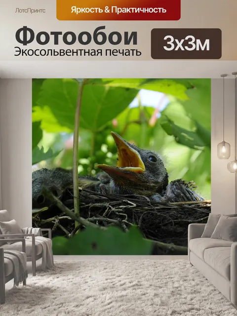 Фотообои Птица