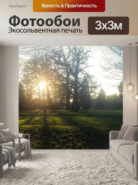 Фотообои Лес