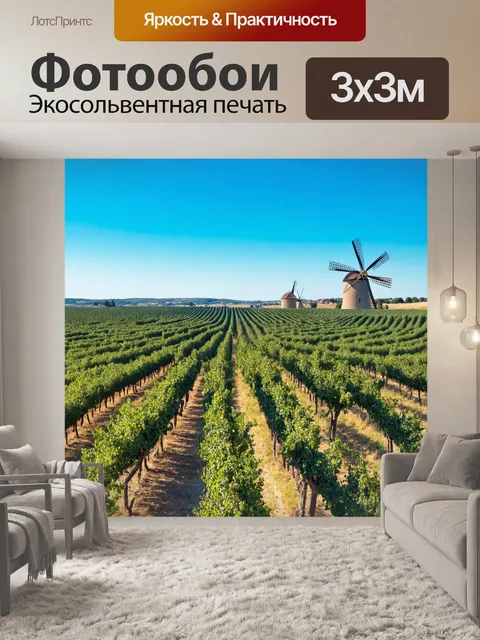 Фотообои прованс показывают бескрайние поля оливковых деревьев, растянутых к горизонту