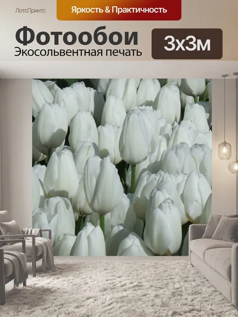 Фотообои Тюльпаны