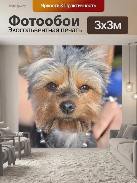 Фотообои Йорки