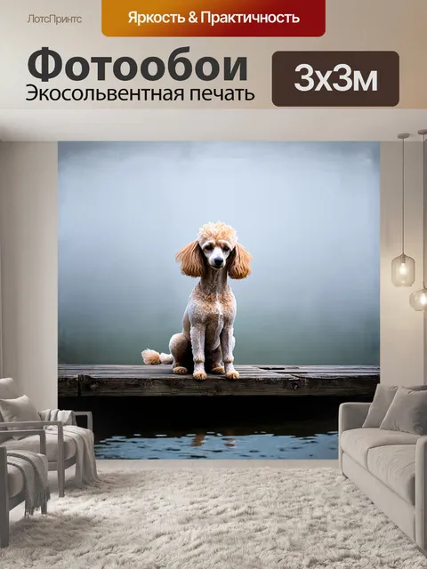 Фотообои пудель, сидящий на старом деревянном причале, окруженном туманной атмосферой и с легким размытием, что…