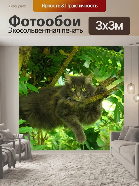 Фотообои Природа