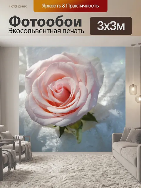 Фотообои Розы