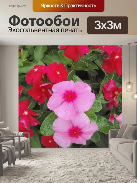 Фотообои Цветы