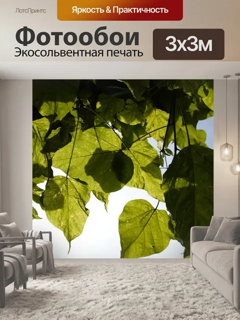 Фотообои Листья