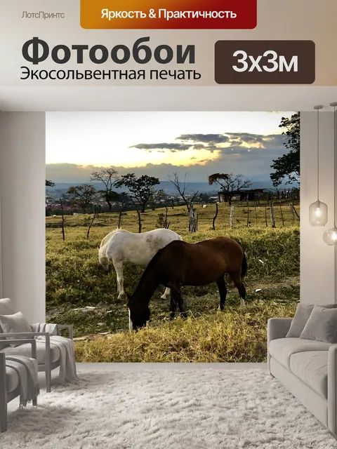 Фотообои Лошади
