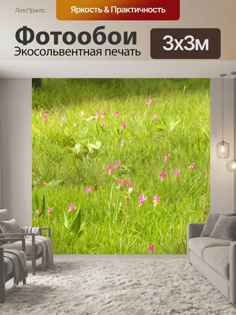 Фотообои Сиам тюльпан цветок Па Хин Нгам