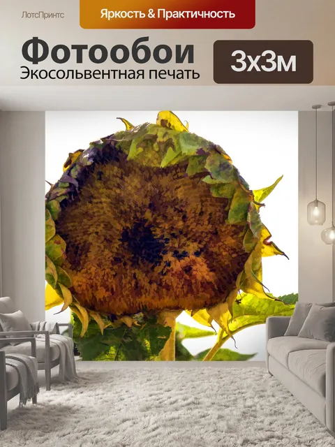 Фотообои Гигантский цветок подсолнечника